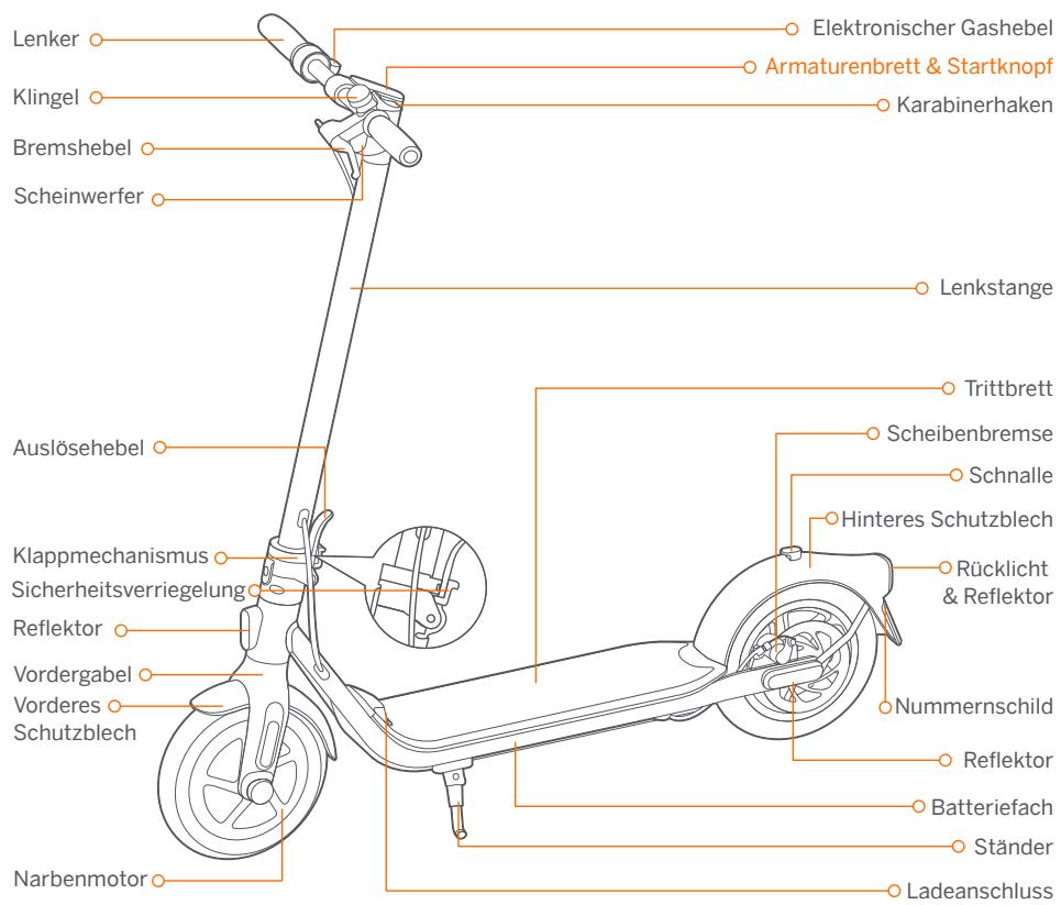 NINEBOT SEGWAY KICKSCOOTER F30D - Diagramm - 1