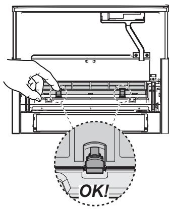 ELECTROLUX EFP60202W - Type 60/80 - NIET wasbaar koolstoffilter - 2