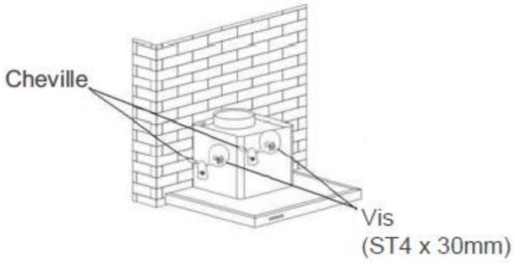 Cheville Vis (ST4 x 30mm)