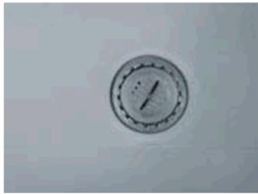 HAIER HWS116GAE - Vlození filtru: - 1