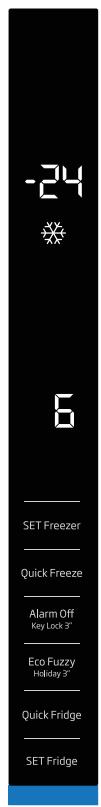 BEKO GN163131ZIE - Vacation function indicator - 2