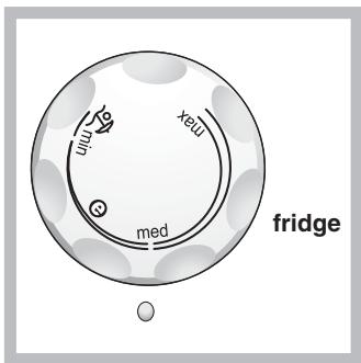 INDESIT TAAN6FNFS - Utilizzare al meglio il frigorifero - 1
