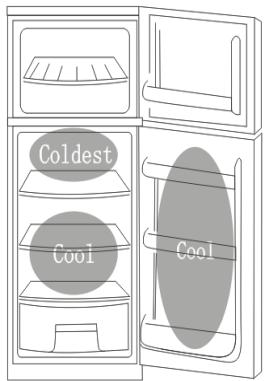 CANDY CMDS5122WH - Where to store your foods in the fridge - 1