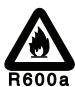 DAEWOO FN-655NWS - (R-600a models only) - 1