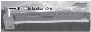 SAMSUNG RB30J3000 - RB30J3000BC/EF - Démontage de la porte du réfrigerateur - 40