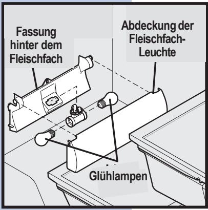 Fassung hinter dem Fleischfach Abdeckung der Fleischfach- Leuchte Glühlampen