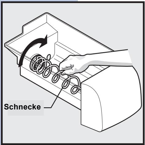 Schnecke