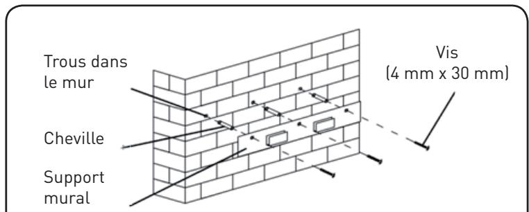 Trous dans le mur Cheville Support mural Vis (4 mm x 30 mm)