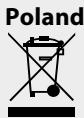 MPM MBL-30 - PROPER DISPOSAL OF THE PRODUCT (waste electrical and electronic equipment) - 1