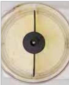 MAGIMIX 18602F - BlenderMix - 18