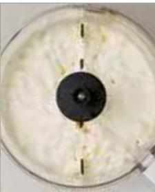 MAGIMIX 18602F - MONTES les blancs en neige - 6