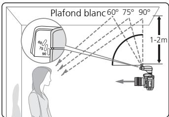 JOHNSON SB400 - Remarques sur les prises de vue en flash indirect - 1