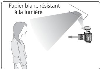 JOHNSON SB400 - Remarques sur les prises de vue en flash indirect - 2