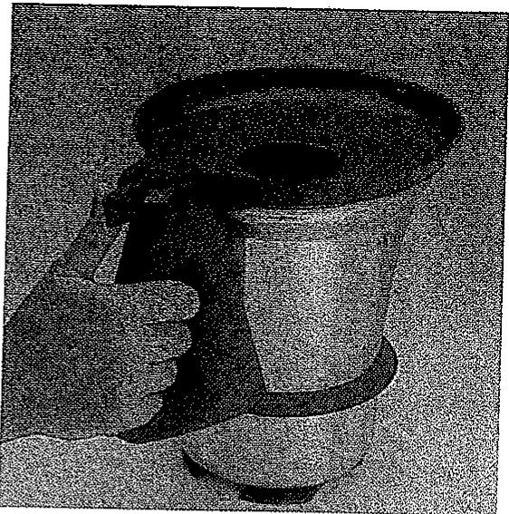 VORWERK THERMOMIX TM21 - Le fouet (23) - 2