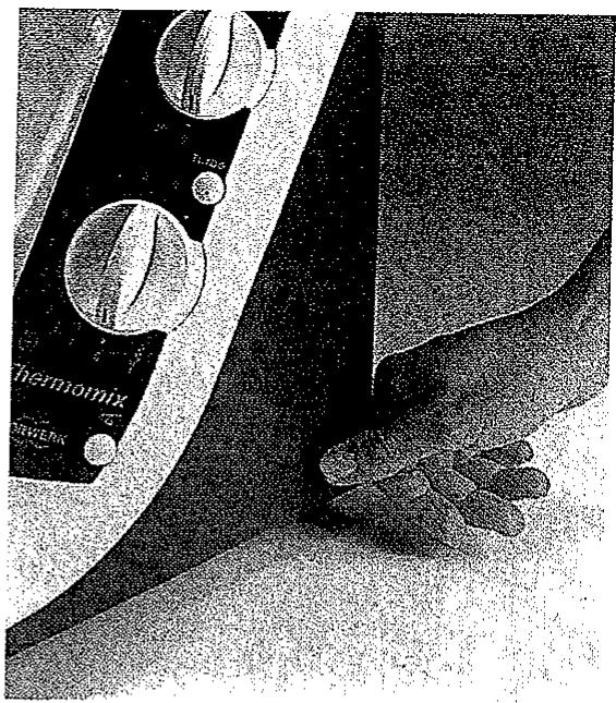 VORWERK THERMOMIX TM21 - Lebol (24) - 4