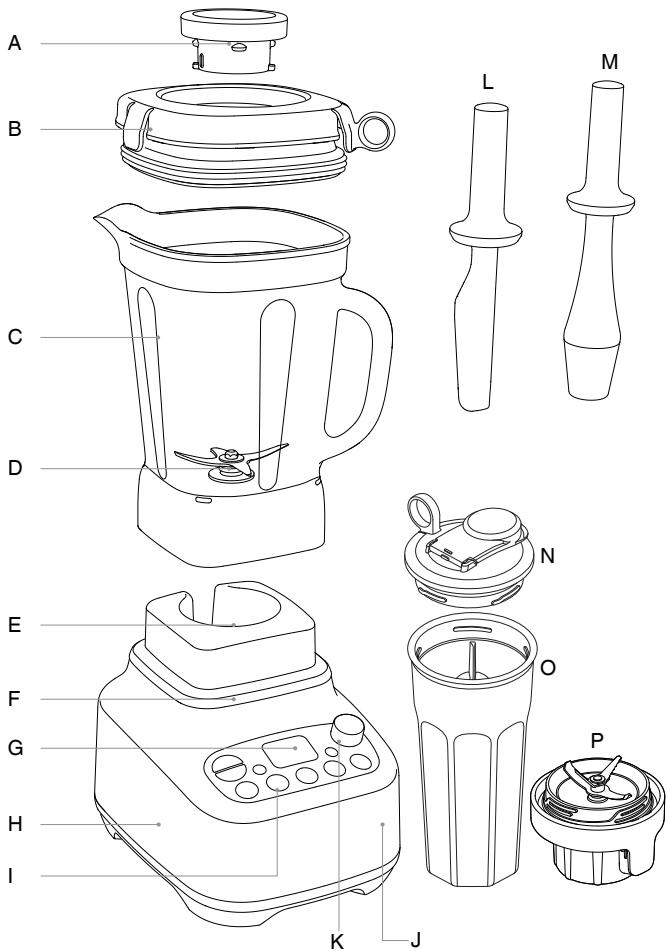 SAGE SBL920BSS2EEU1 - Onderdelen - 1