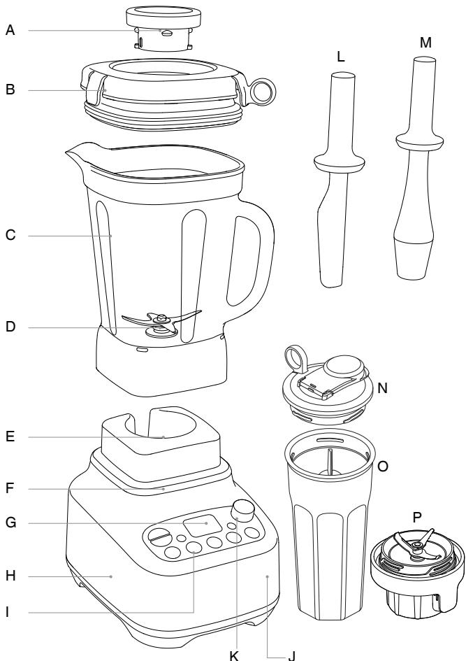 SAGE SBL920BSS2EEU1 - Components - 1