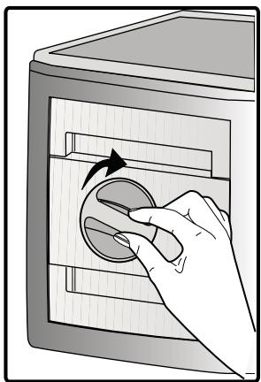 BEKO RDNE350K30XBN - Récipient de conservation de glaçons - 1