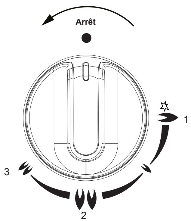 STOVES STERLING 900DFT - Utilisation du double wok - 1