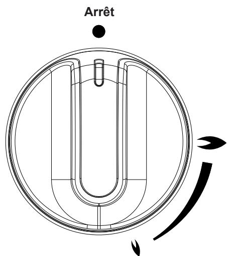 STOVES PRECISION GLASS 110 DFT - Fonctions de l'appareil - 3