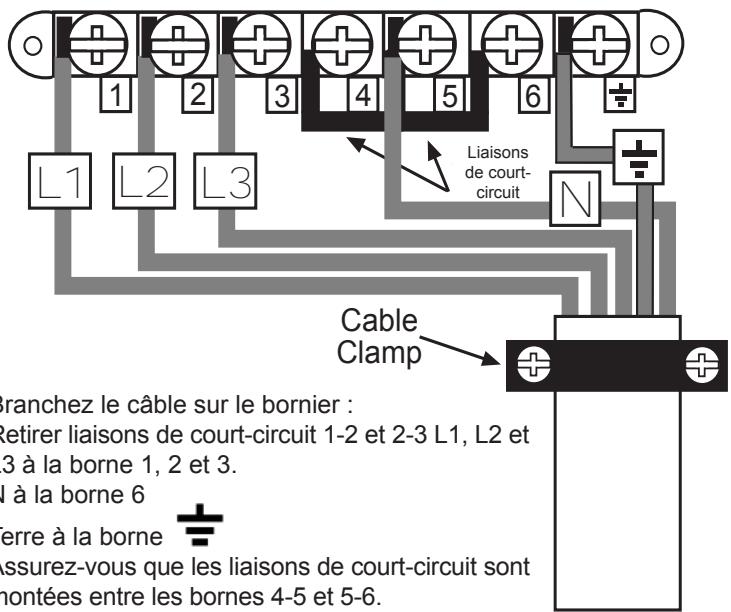 L1 L2 L3 Liaisons de court-circuit N Cable Clamp branchez le câble sur le bornier : Retirer liaisons de court-circuit 1-2 et 2-3 L1, L2 et 3 à la borne 1, 2 et 3. I à la borne 6 terre à la borne assurez-vous que les liaisons de court-circuit sont montées entre les bornes 4-5 et 5-6.