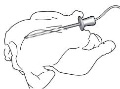 WHIRLPOOL AKZ 96230/NB - USING THE MEAT PROBE (IF PRESENT) - 2