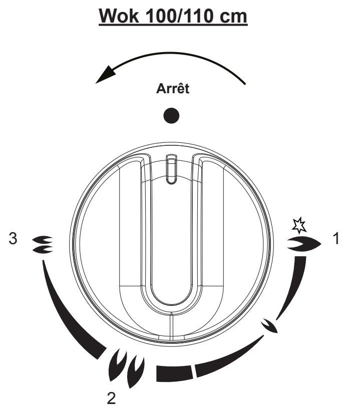 STOVES STERLING 1100DFT - Utilisation du double wok - 2