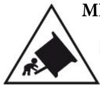 TRIOMPH TEV506EB - 3) INSTRUCTION DE SECURITE IMPORTANTE: - 3