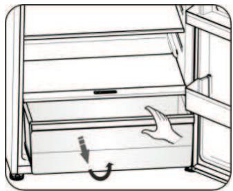 HISENSE RT600N4DC2 - Shelf in Refrigerator chamber - 2