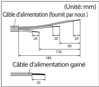 (Unité: mm) Câble d'alimentation (fournit par nous ) 20 20 20 60 120 180 Câble d'alimentation gainé 20