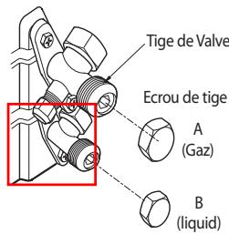 Tige de Valve Ecrou de tige A (Gaz) B (liquid)