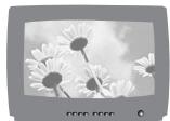 SAMSUNG DIGIMAXL80 - Tableau du système - 8