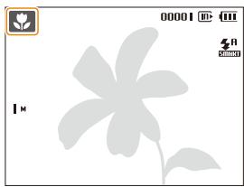 SAMSUNG PL10 - Mode Auto intelligent - 1
