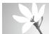 SAMSUNG PL10 - Photographier des actions - 1