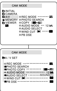 SAMSUNG SC-D103 - CAM MODE - 1