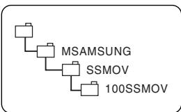 SAMSUNG VP-D352 - [Remarques] - 4