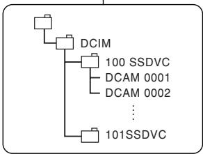 SAMSUNG VP-D352 - Mode MPlayer (mode Lecture memoire) - 1