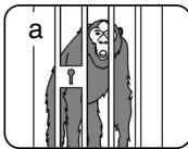 SAMSUNG VP-D352 - Mise au point manuelle - 1