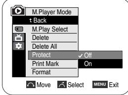 SAMSUNG VP-D352 - (5) - 2