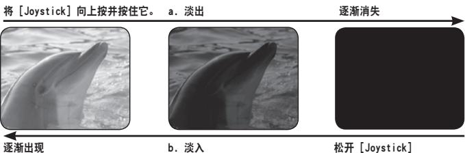 SAMSUNG VP-DC175WB - 停止摄录 - 2
