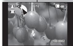 SAMSUNG VP-DX1000 - PREDVAJANJE VIDEA - 6