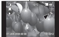 SAMSUNG VP-DX1000 - Réglage de l'option d'impression de l'horodatage - 3