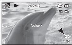 SAMSUNG VP-DX1000 - UPORABA DODAJANJA ZVOKA - 2