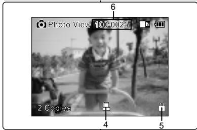Photo View 100.0025 6 2 Copies 4 5