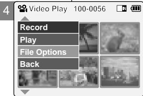 4 Video Play 100-0056 Record Play File Options Back