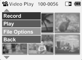 Record Play File Options Back