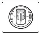 SAMSUNG VP-X110L - Zoom avant et arrière - 1