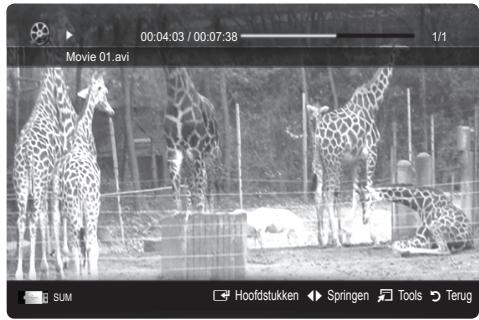 SAMSUNG UE-37C6000 - Videobestanden afspelen - 1