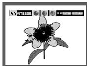 SAMSUNG DVD-HD870 - Diaporama - 1
