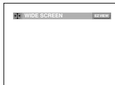 WIDE SCREEN EZ VIEW